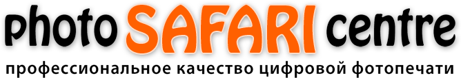 logo safari